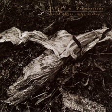 Plight & Premonition mp3 Album by David Sylvian & Holger Czukay