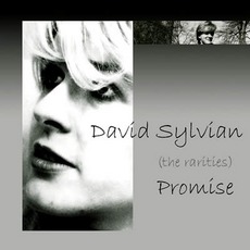 Promise mp3 Artist Compilation by David Sylvian