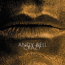 Crazy mp3 Single by Andy Bell