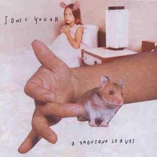 A Thousand Leaves mp3 Album by Sonic Youth