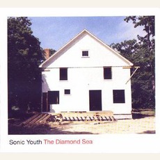 The Diamond Sea mp3 Single by Sonic Youth