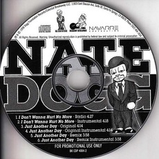 I Don't Wanna Hurt No More / Just Another Day mp3 Single by Nate Dogg