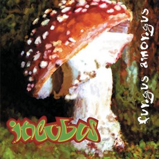 Fungus Amongus mp3 Album by Incubus