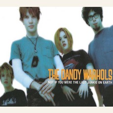 Not If You Were The Last Junkie On Earth mp3 Single by The Dandy Warhols