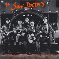 If This Is Rock And Roll, I Want My Old Job Back mp3 Album by The Saw Doctors