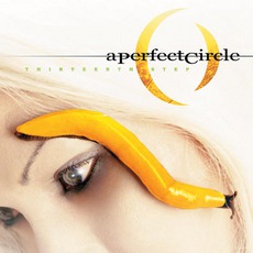 Thirteenth Step mp3 Album by A Perfect Circle