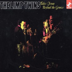 Tales From Beyond The Groove mp3 Album by The Limp Twins