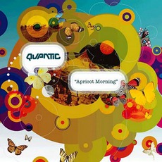 Apricot Morning mp3 Album by Quantic