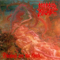 Blessed Are The Sick mp3 Album by Morbid Angel