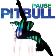 Pause mp3 Single by Pitbull
