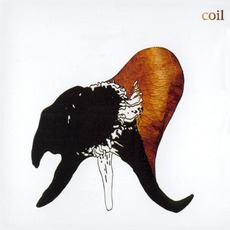 Black Antlers (Re-Issue) mp3 Album by Coil