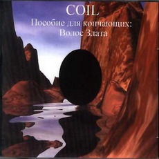 A Guide For Finishers: A Golden Hair mp3 Artist Compilation by Coil