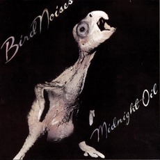 Bird Noises mp3 Album by Midnight Oil