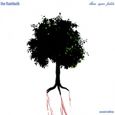 These Open Fields mp3 Album by The Flashbulb