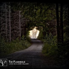 Love As A Dark Hallway mp3 Album by The Flashbulb