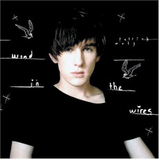 Wind In The Wires mp3 Album by Patrick Wolf