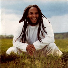 Free Like We Want 2 B mp3 Album by Ziggy Marley & The Melody Makers