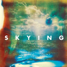 Skying mp3 Album by The Horrors
