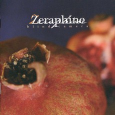 Blind Camera mp3 Album by Zeraphine