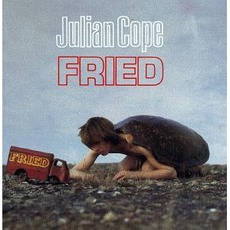 Fried (Remastered) mp3 Album by Julian Cope