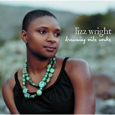 Dreaming Wide Awake mp3 Album by Lizz Wright