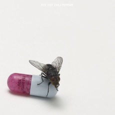 I’m With You mp3 Album by Red Hot Chili Peppers