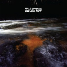Endless Now mp3 Album by Male Bonding