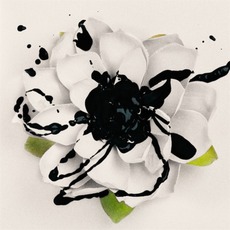 White Lotus mp3 Album by Eyes Set To Kill