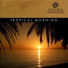 Tropical Morning mp3 Album by David Arkenstone