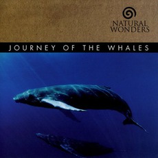 Journey Of The Whales mp3 Album by David Arkenstone
