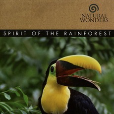 Spirit Of The Rainforest mp3 Album by David Arkenstone
