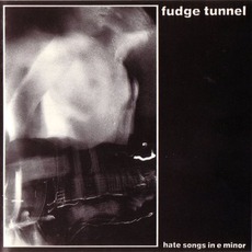 Hate Songs In E Minor mp3 Album by Fudge Tunnel