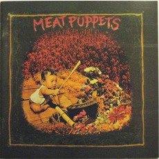 Meat Puppets (Re-Issue) mp3 Album by Meat Puppets