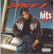 Hits mp3 Artist Compilation by Spice 1