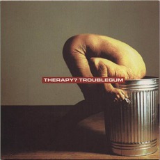 Troublegum mp3 Album by Therapy?