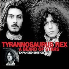 A Beard Of Stars (Remastered) mp3 Album by Tyrannosaurus Rex