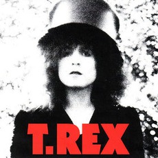 The Slider mp3 Album by T. Rex