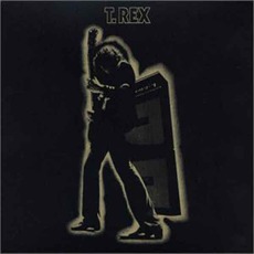 Electric Warrior mp3 Album by T. Rex