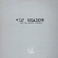 In/Flux mp3 Single by DJ Shadow