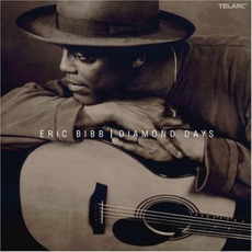 Diamond Days mp3 Album by Eric Bibb