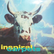 She Comes In The Fall / Sackville mp3 Single by Inspiral Carpets