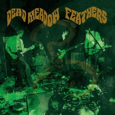 Feathers mp3 Album by Dead Meadow