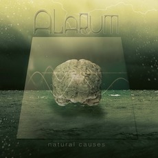Natural Causes mp3 Album by Alarum