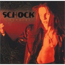 Erwacht mp3 Album by Schock