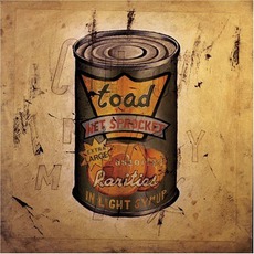 In Light Syrup mp3 Artist Compilation by Toad The Wet Sprocket