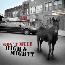 High & Mighty mp3 Album by Gov't Mule