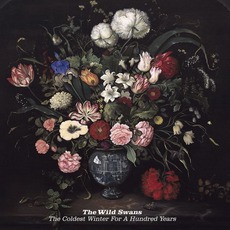 The Coldest Winter For A Hundred Years mp3 Album by The Wild Swans