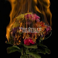 Without Feathers mp3 Album by The Stills