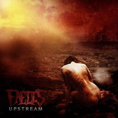 Upstream mp3 Album by Faeces