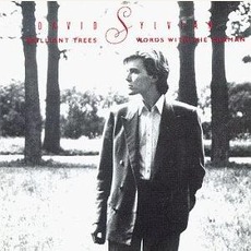 Brilliant Trees / Words With The Shaman mp3 Album by David Sylvian